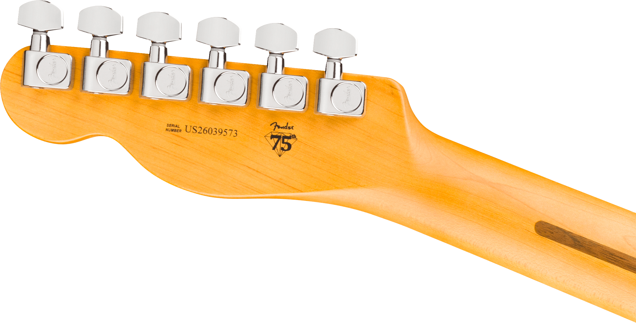 fender-american-professional-telecaster-rw-natural_6ace4042ac62b.png