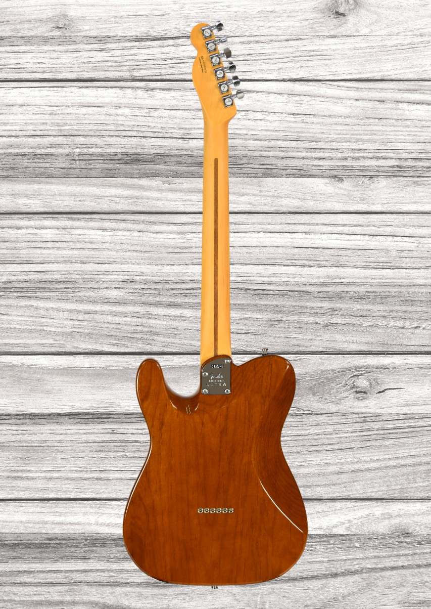 fender-american-ultra-ltd-tele-eby-tgr_65d627add5af7.jpg