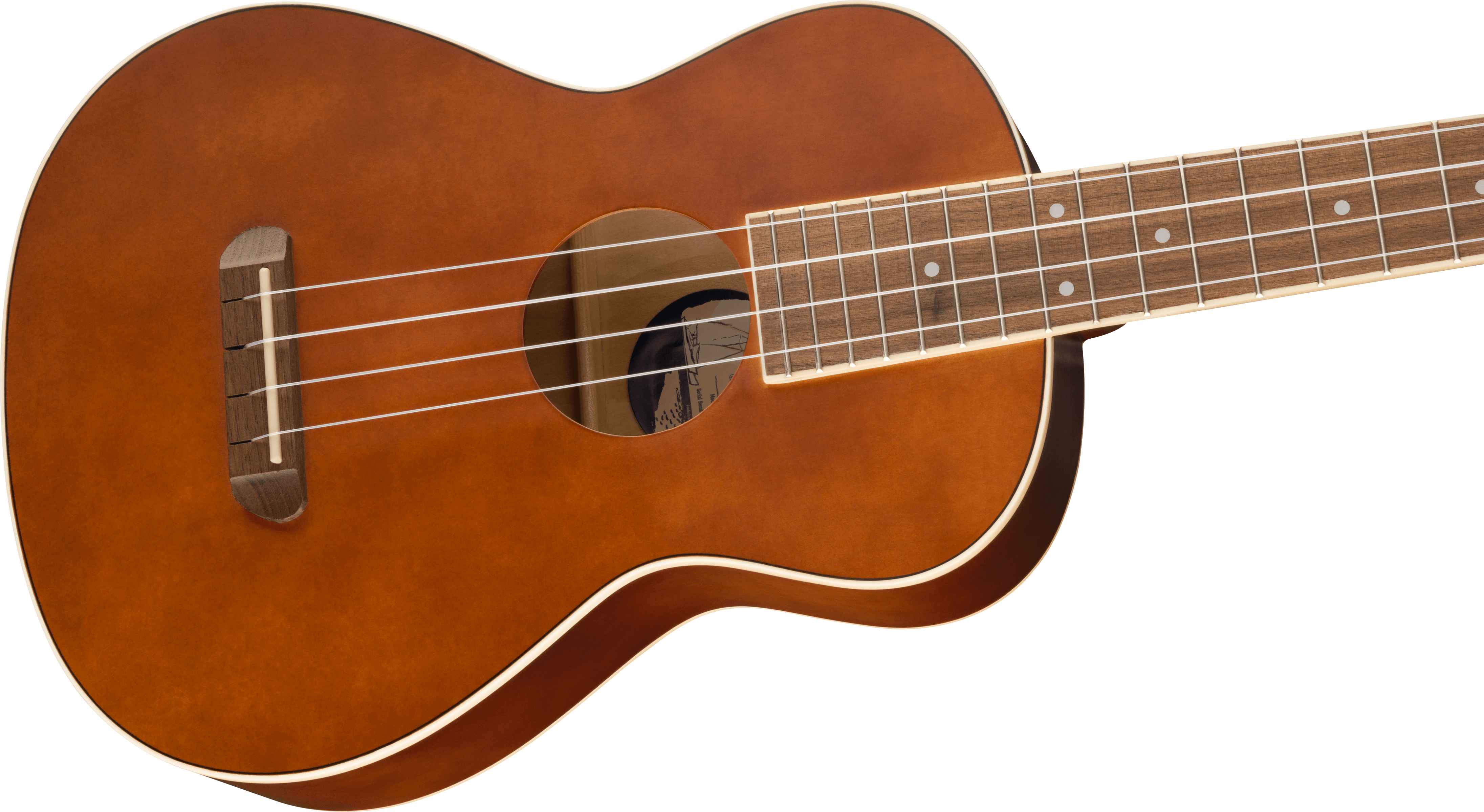 fender-avalon-tenor-ukulele-nat_62b1ecbfaa672.png