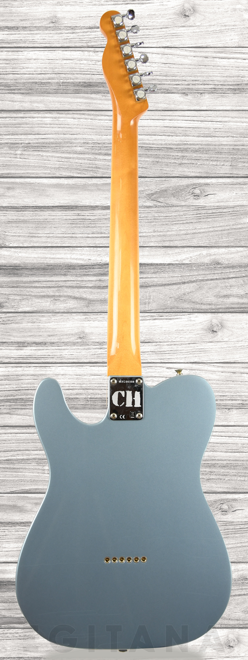 fender-chrissie-hynde-tele-rw-ibm_60e86ac5dad30.jpg