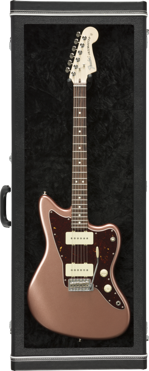 fender-guitar-display-case-bk_67404a82e9ac3.png