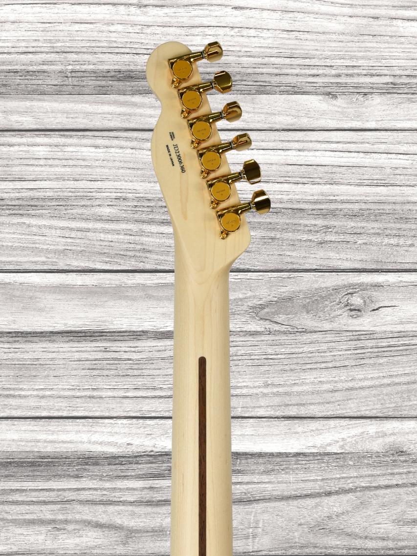 fender-kotzen-telecaster-bsb_65d8adfebfc3a.png