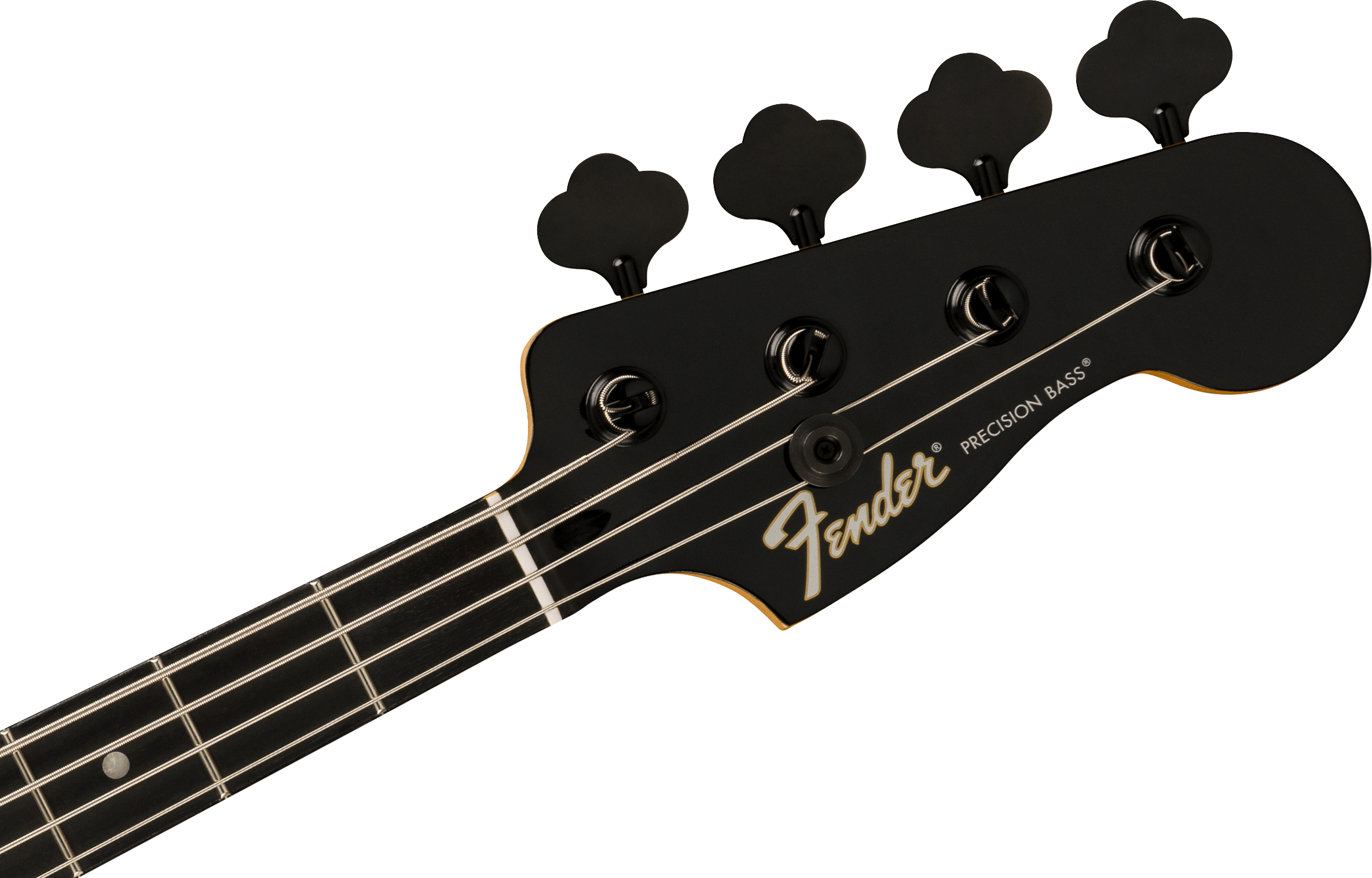 fender-limited-edition-player-fusion-p-bass-hh-bk_6aa7f9909d237.jpg