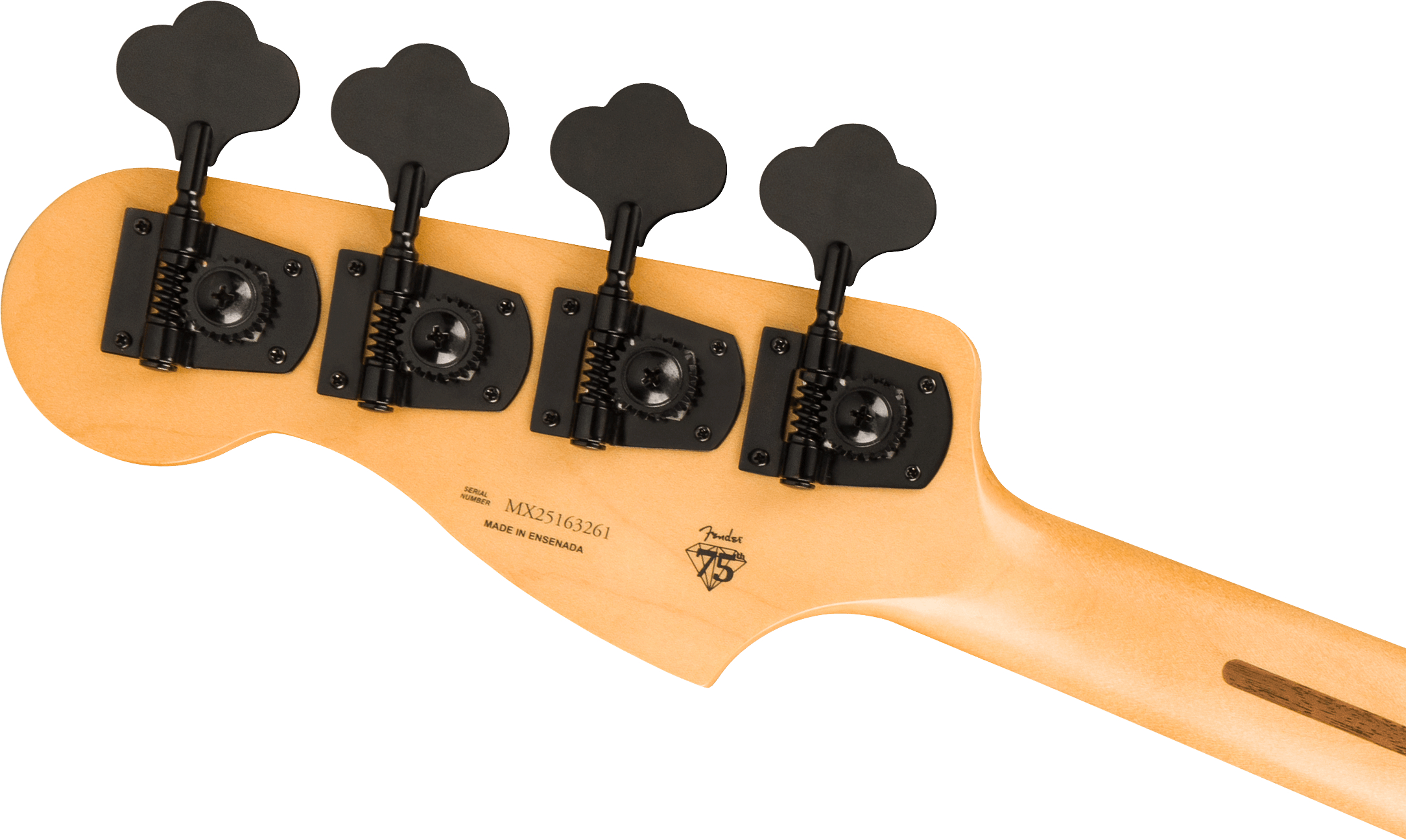 fender-limited-edition-player-fusion-p-bass-hh-bk_6aa7f99312850.jpg