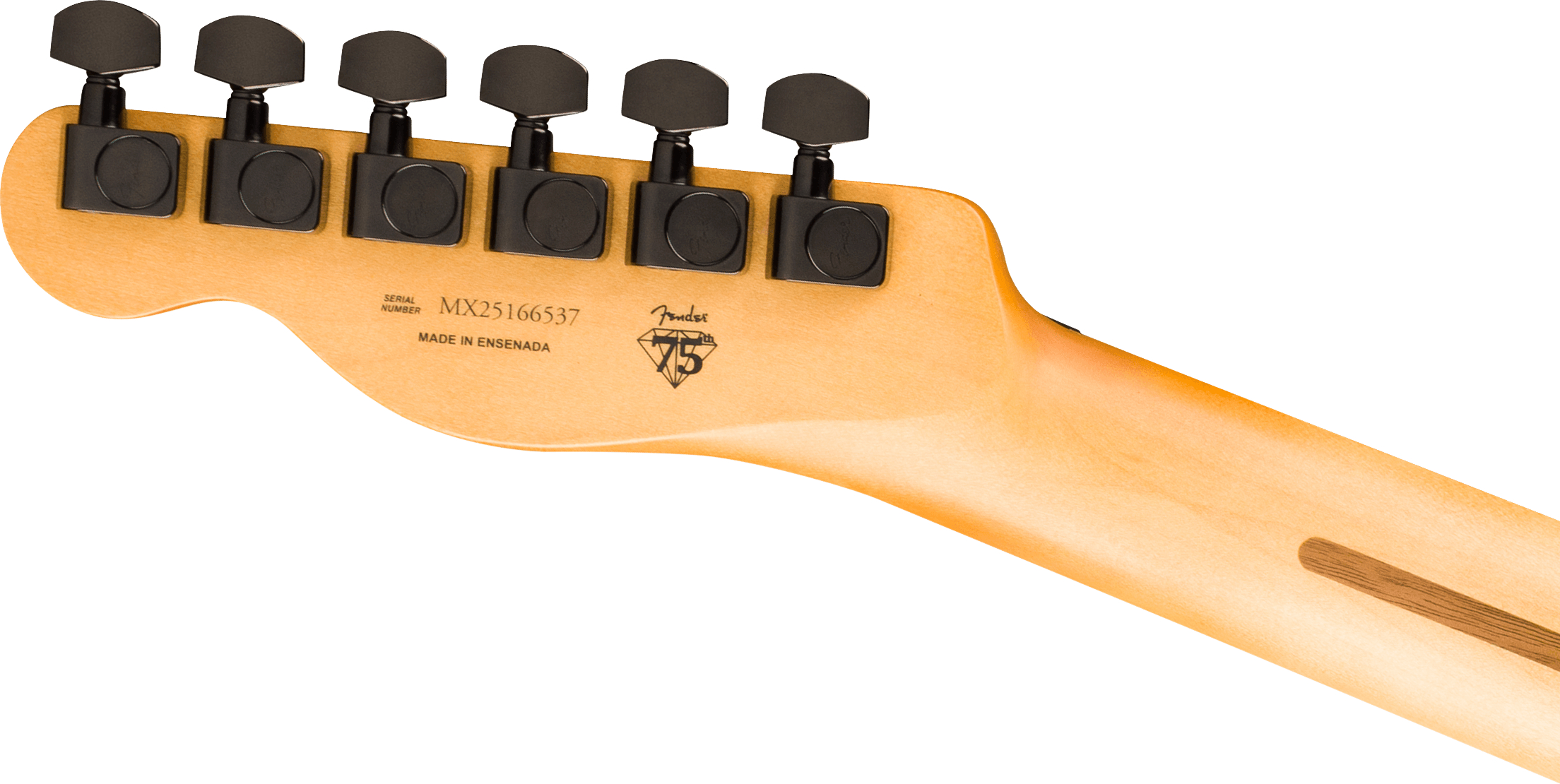fender-limited-edition-player-fusion-telecaster-hh-aum_6ace06b37ed70.jpg
