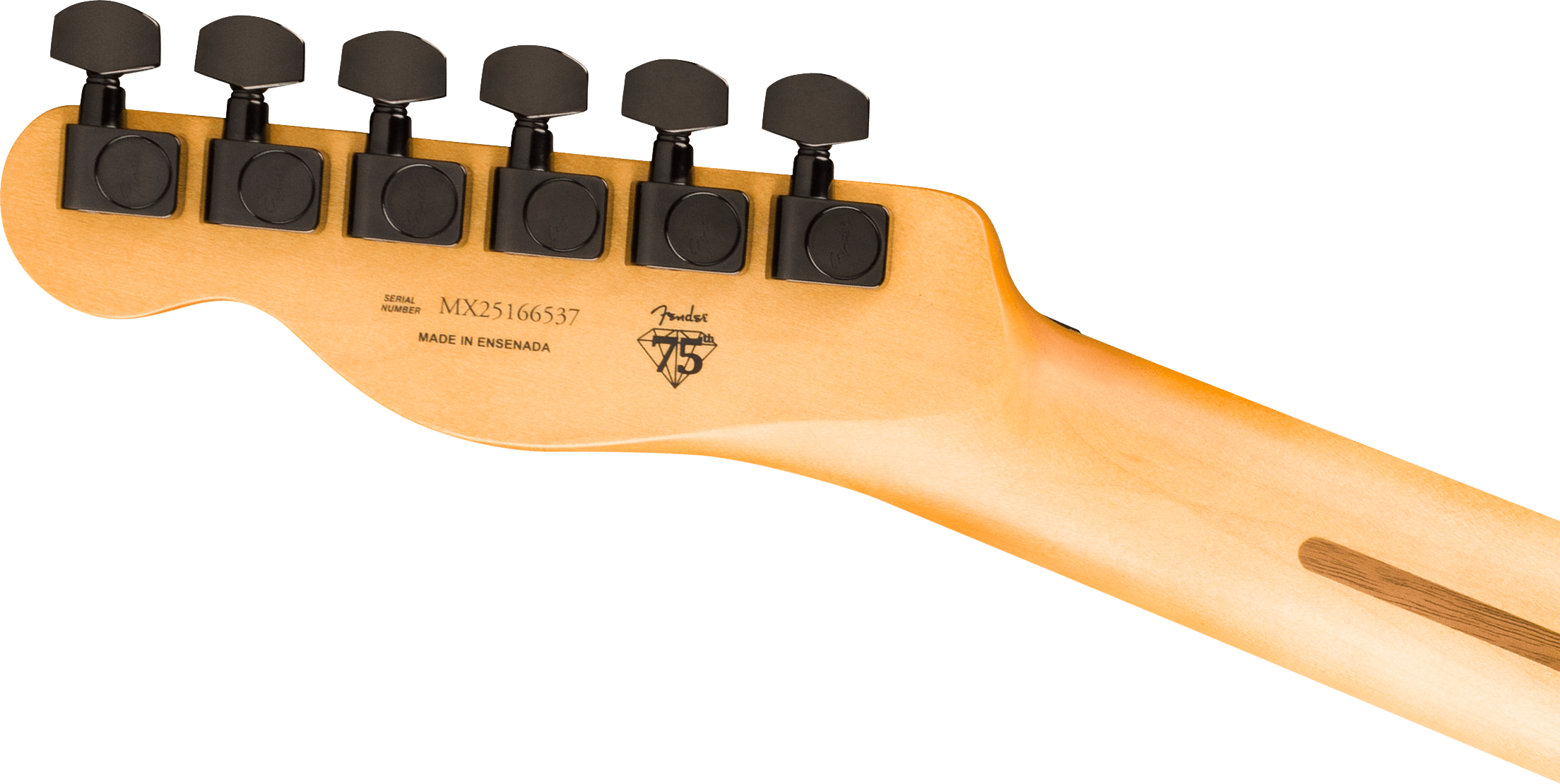 fender-limited-edition-player-fusion-telecaster-hh-aum_6ace06b37ed70.png