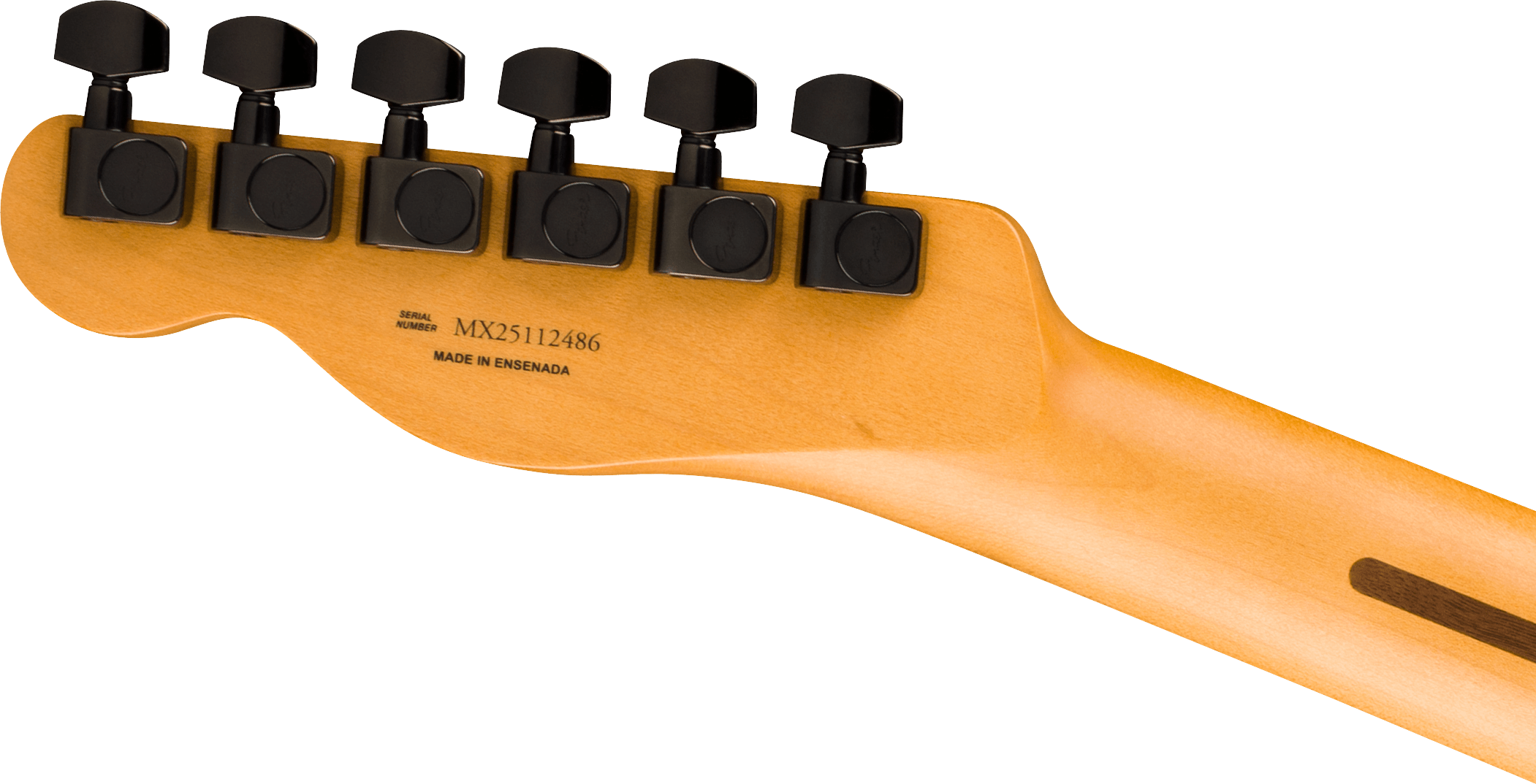 fender-limited-edition-player-fusion-telecaster-hh-blk_6ace04601242c.png
