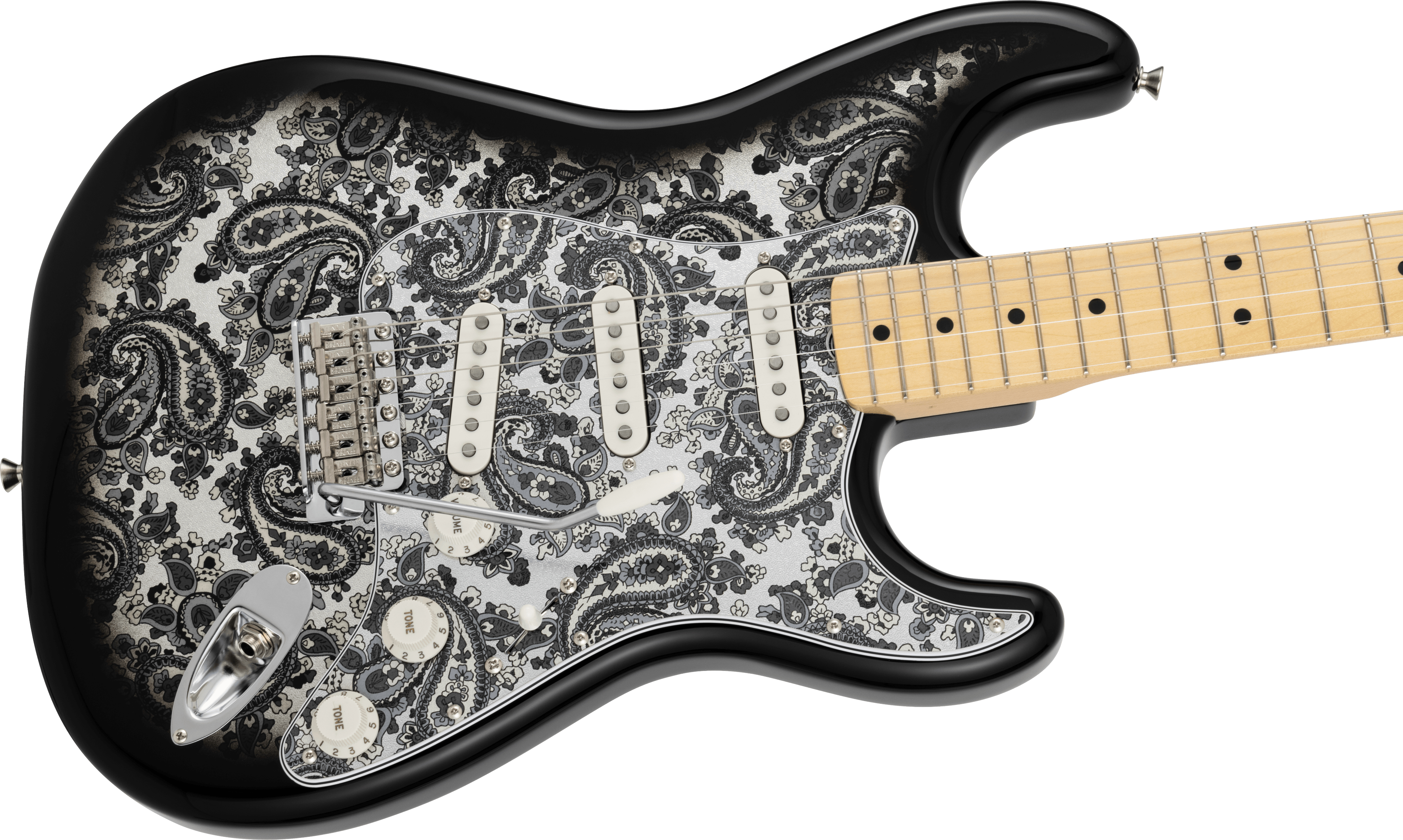 fender-made-in-japan-limited-stratocasterr-black-paisley_6925a32638695.jpg