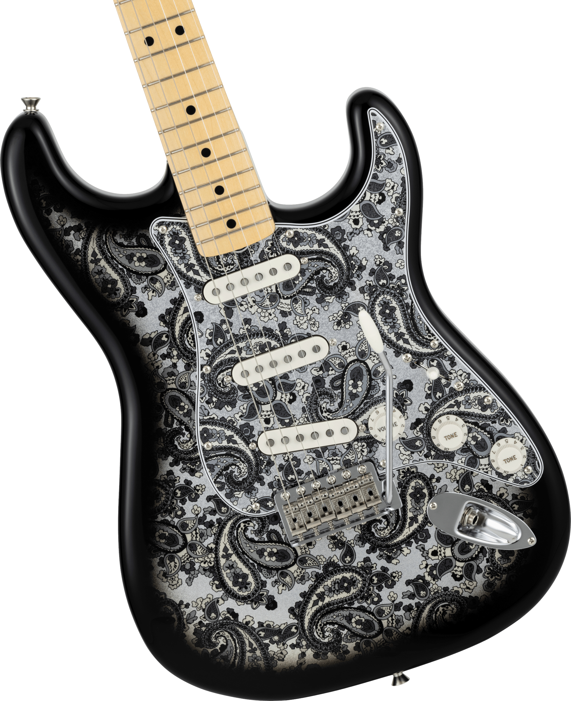 fender-made-in-japan-limited-stratocasterr-black-paisley_6925a3295495d.jpg