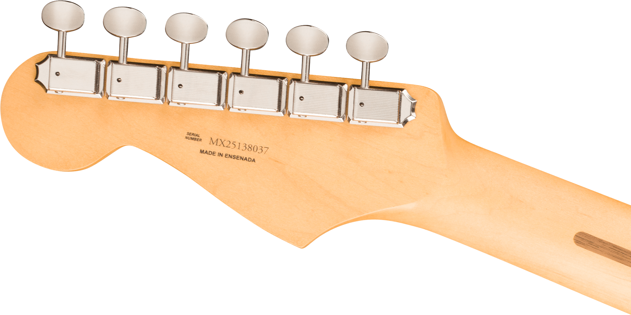 fender-player-ii-stratocaster-rw-cactus-gray_6a33cf5641eaa.png