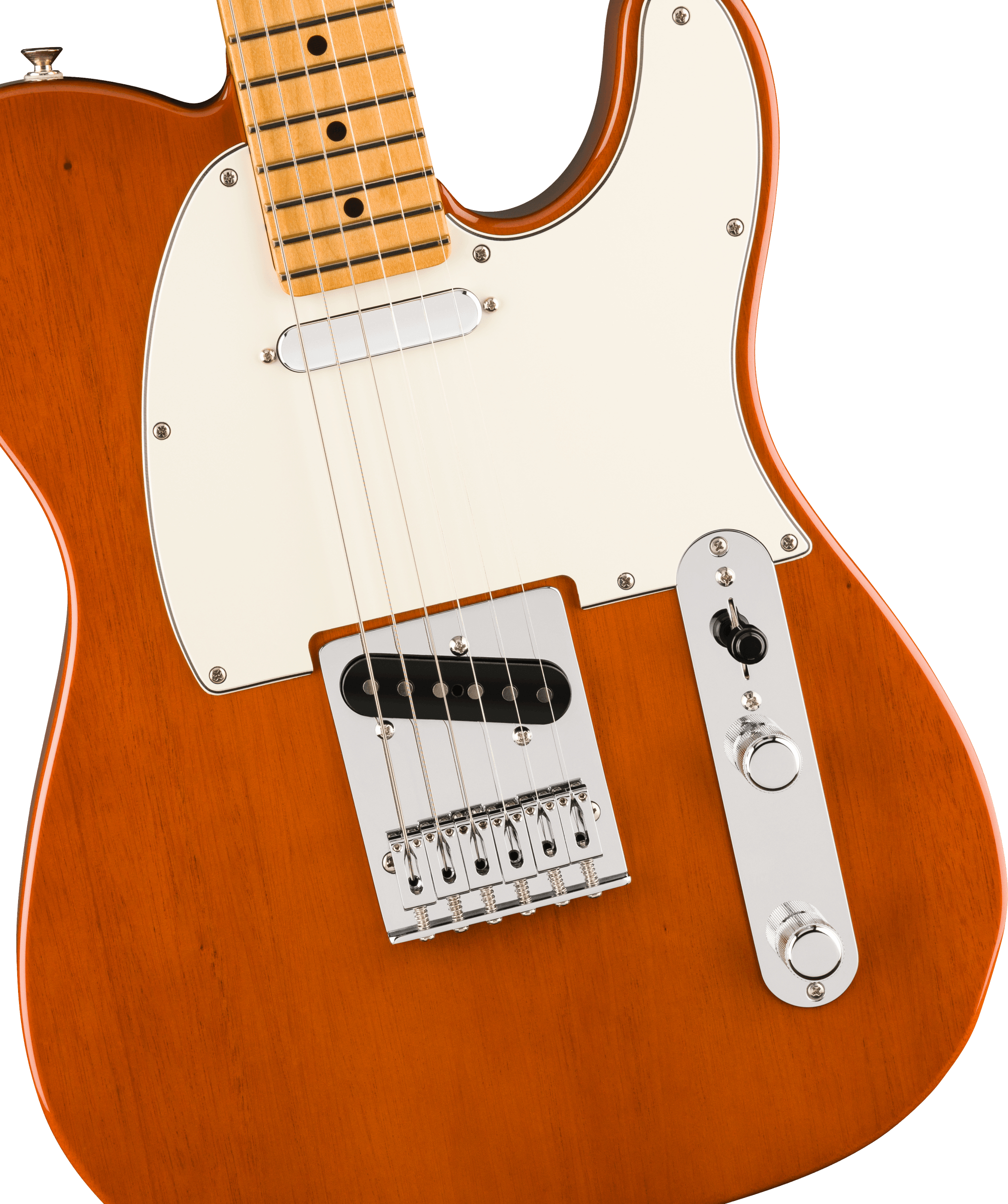 fender-player-ii-telecaster-maple-fingerboard-mocha_671a53fa6832a.jpg