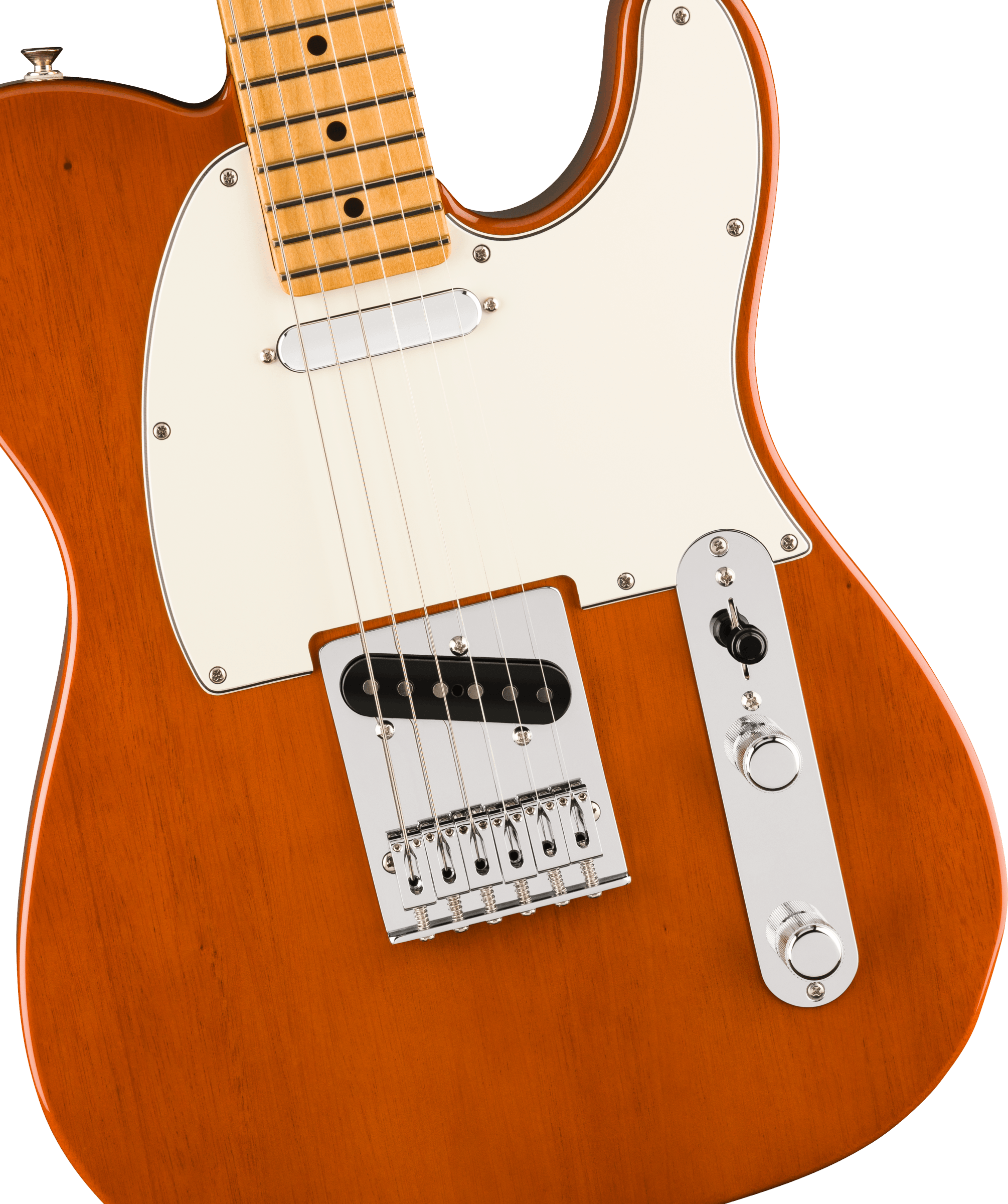 fender-player-ii-telecaster-maple-fingerboard-mocha_671a53fa6832a.png