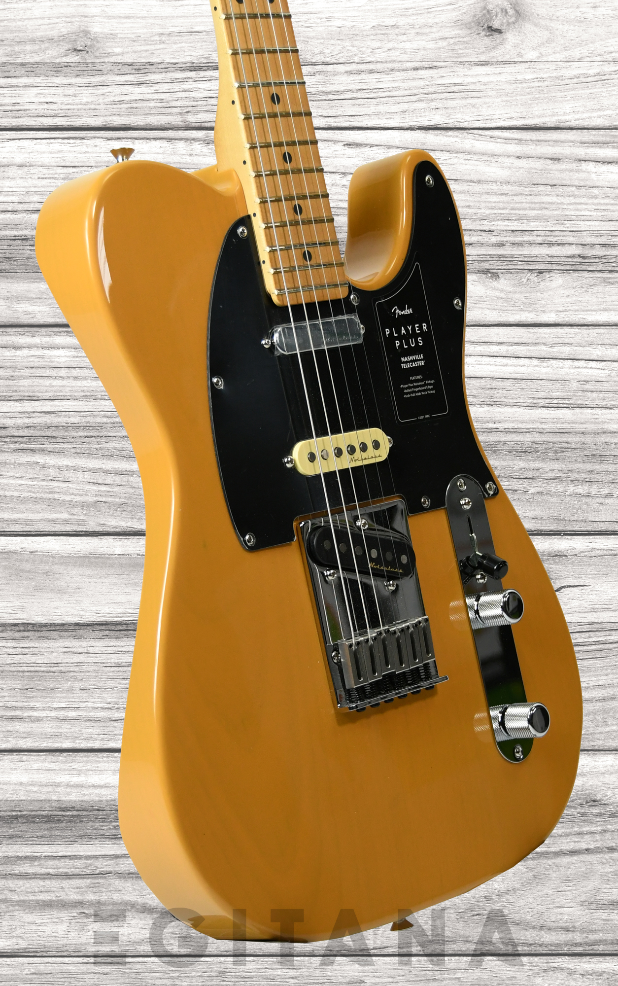 fender-player-plus-nashville-butterscotch-blonde_6351112396fe6.jpg