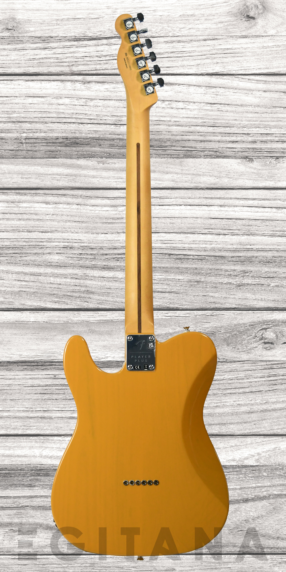 fender-player-plus-nashville-butterscotch-blonde_63511127d616b.jpg