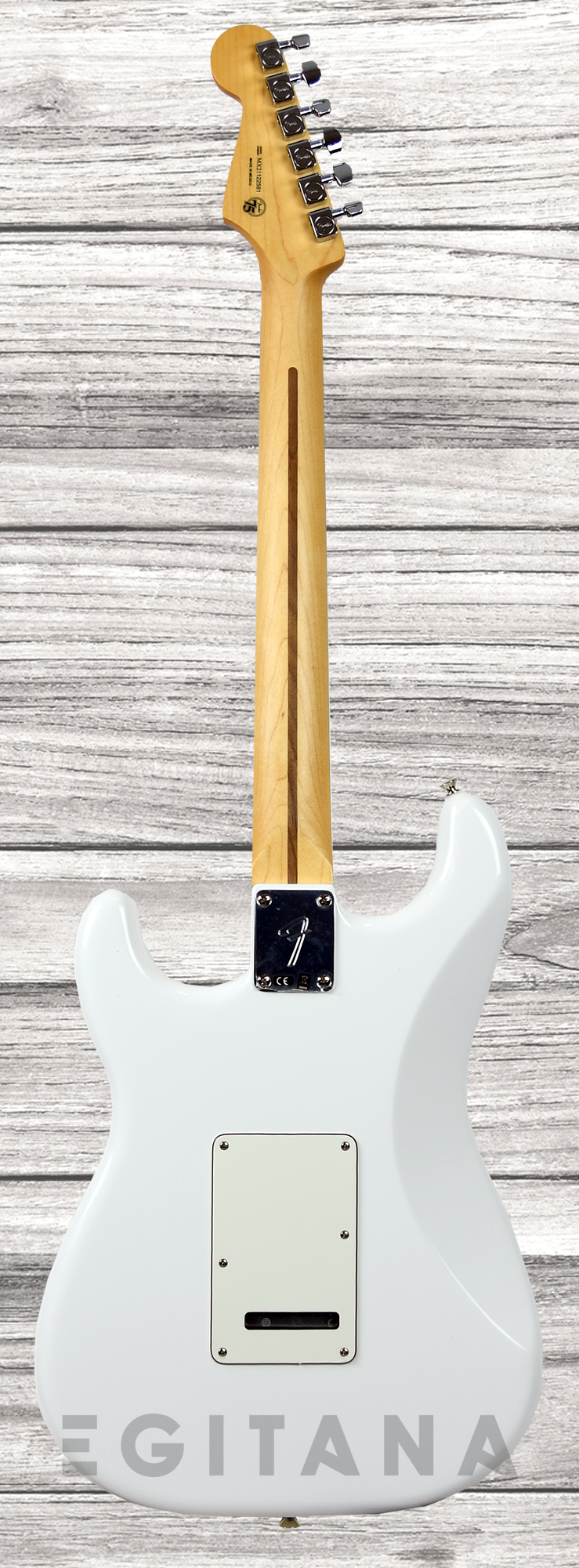 fender-player-series-strat-hss-pf-pwt_611cd18385386.png