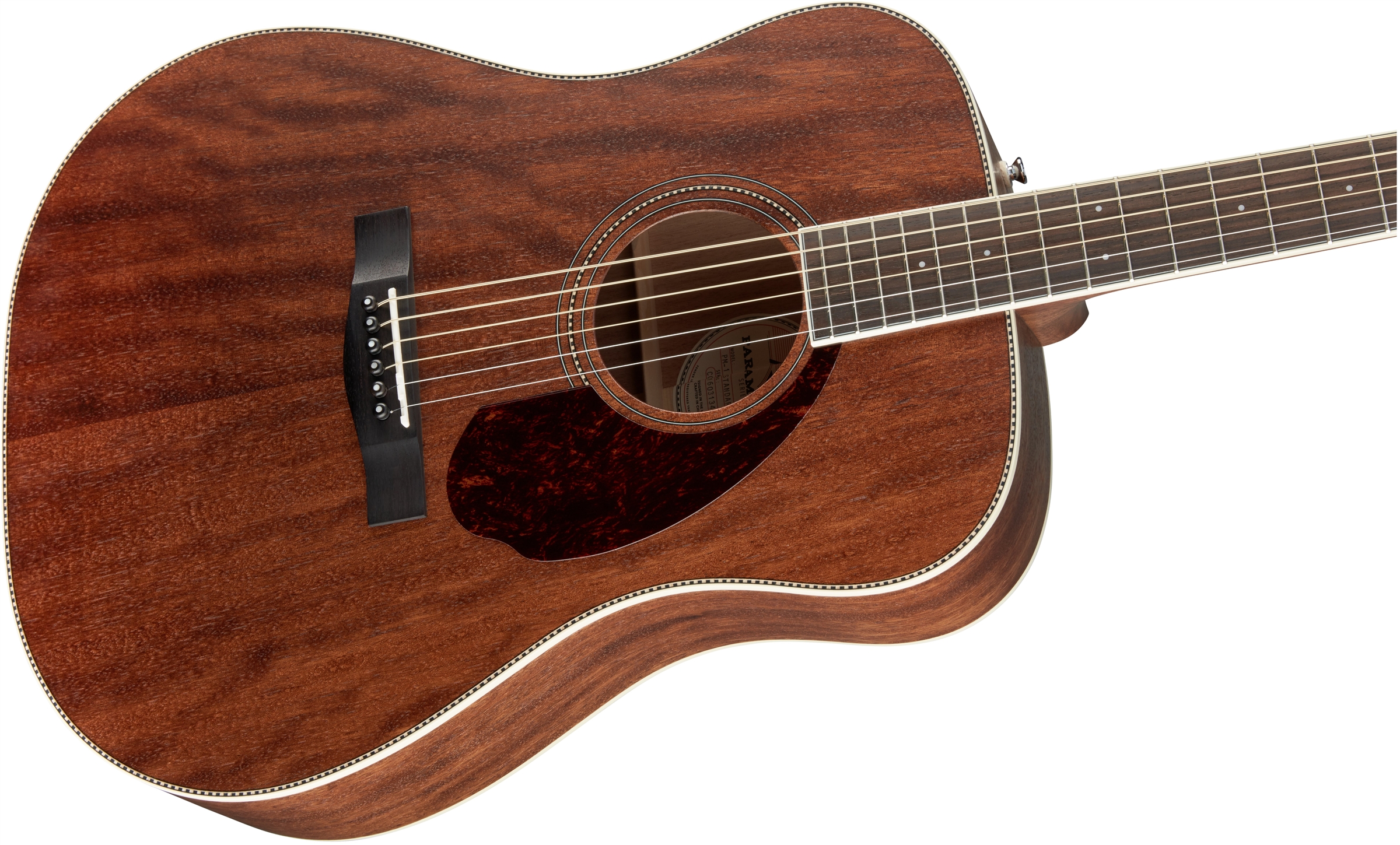 fender-pm-1-std-dreadnought-mah_5feb4e0f586cf.jpg