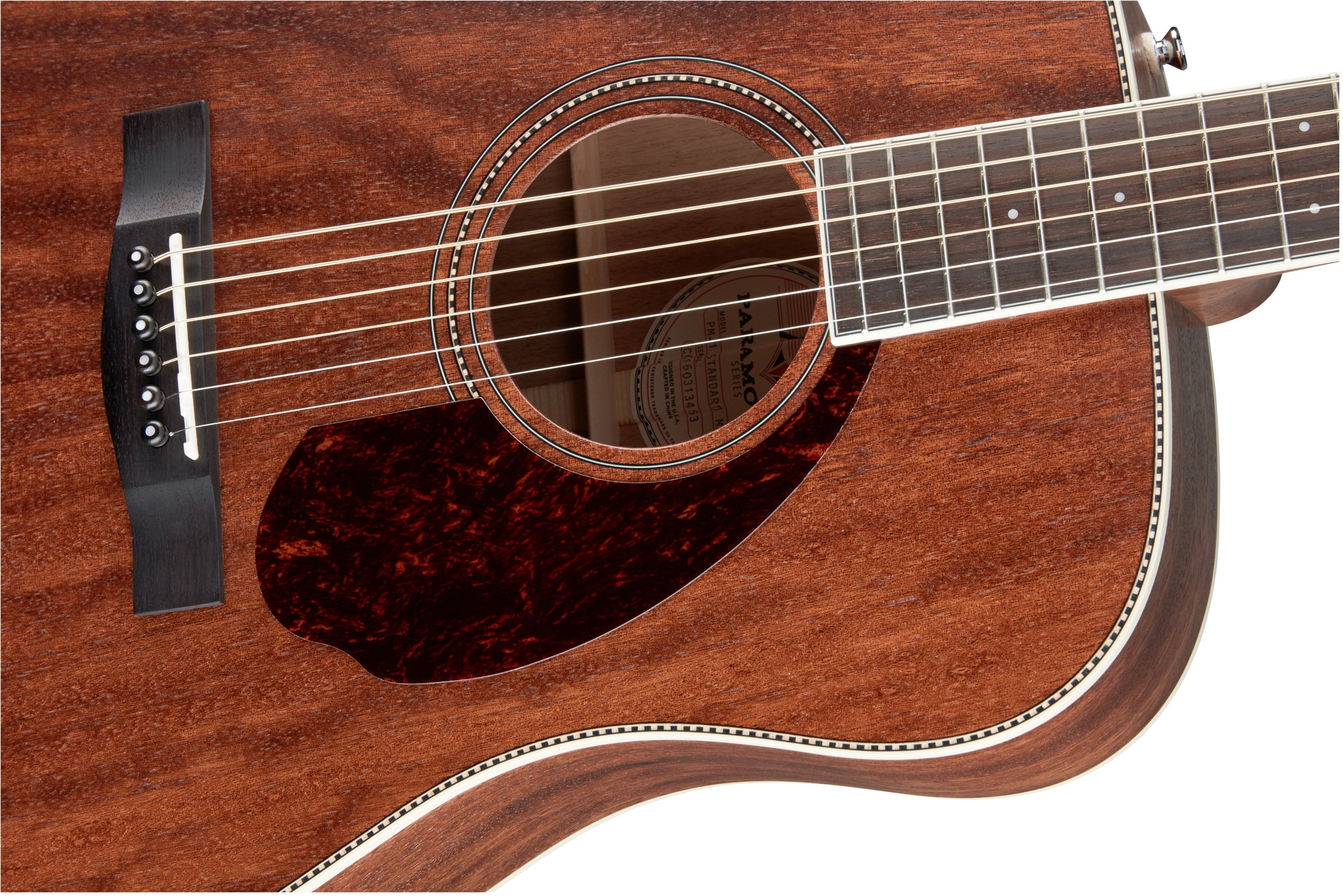 fender-pm-1-std-dreadnought-mah_5feb4e10bc06b.jpg