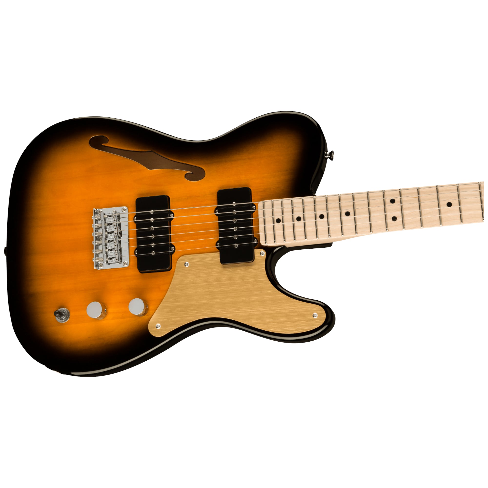 fender-squier-paranormal-cabronita-thinline-2-tone-sunburst_6143795eaae00.jpg