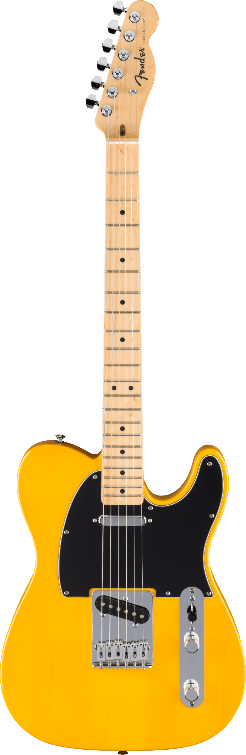 fender-std-tele-mn-bpg-btb_67926eeac97a4.png