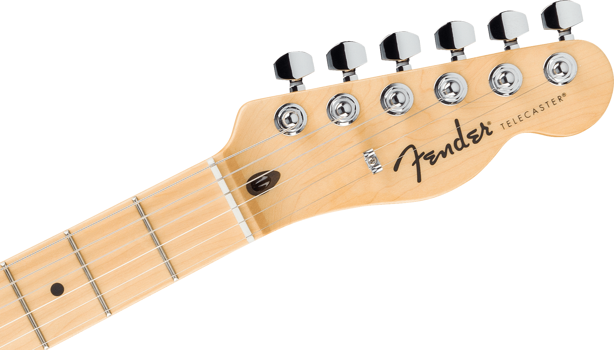 fender-std-tele-mn-wpg-amm_67926e2364325.png
