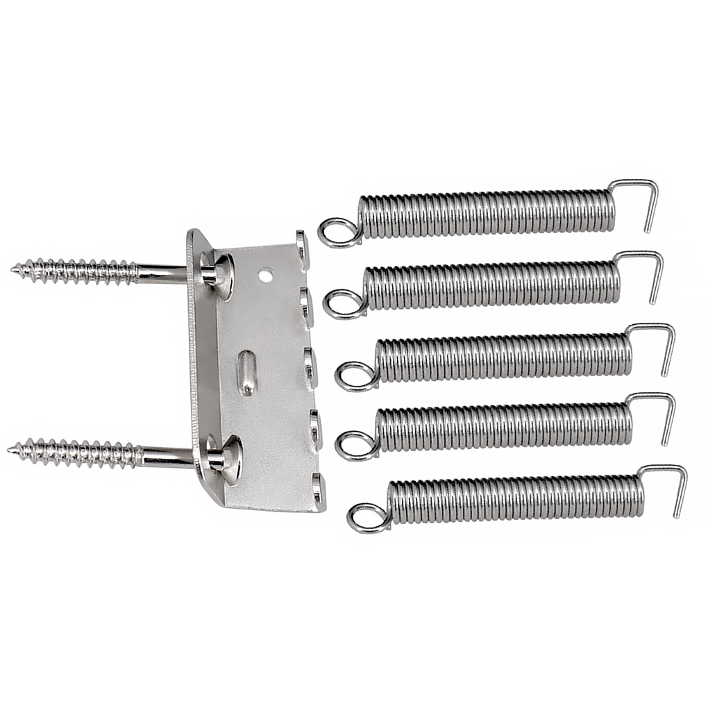 fender-trem-spring-claw-and-screws_607451436170a.jpeg