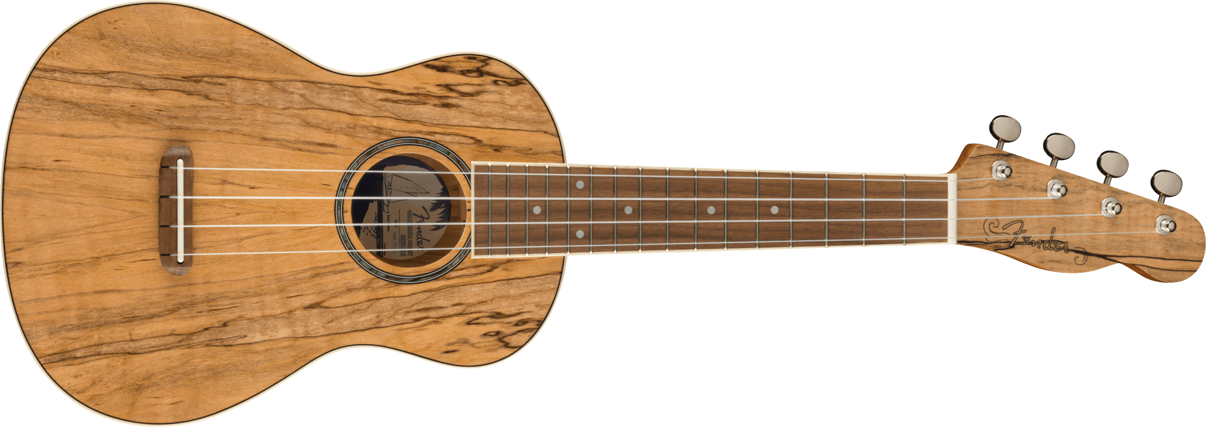 fender-zuma-concert-uke-spalted-maple_62b1f0fad8b5f.jpg