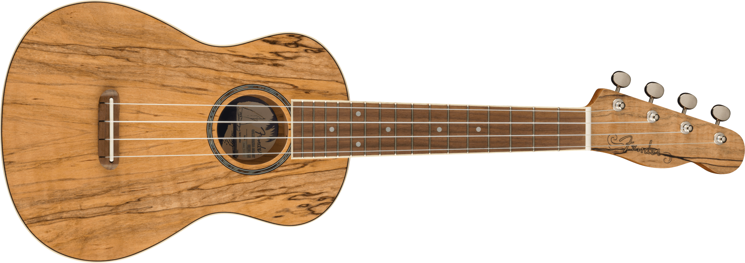 fender-zuma-concert-uke-spalted-maple_62b1f0fad8b5f.png