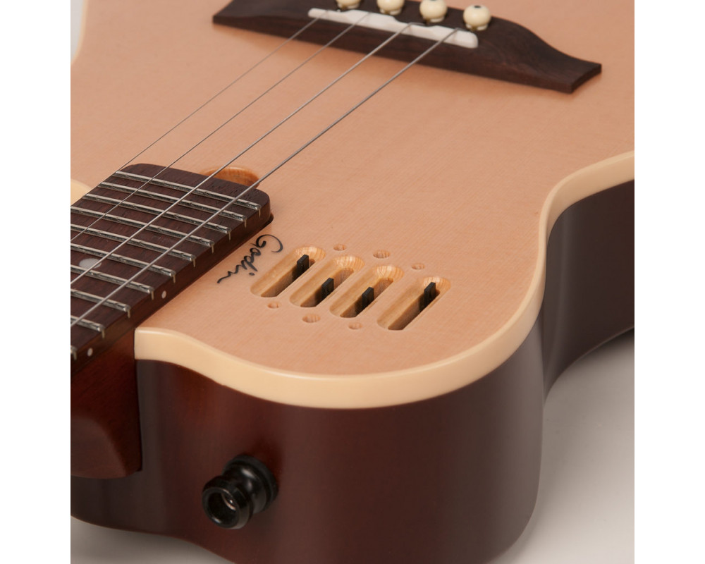 godin-cavaquinho_5baa48ea19452.jpg