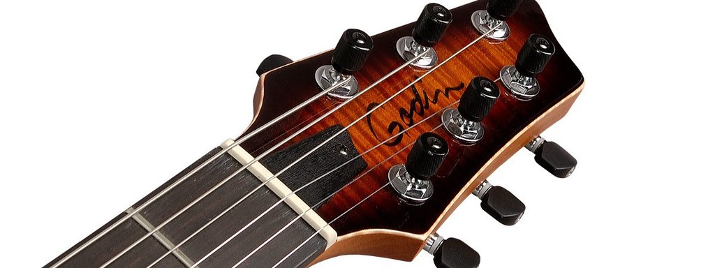 godin-lgx-sa-cognac-burst-flame-aa_5a9d75d438033.jpg