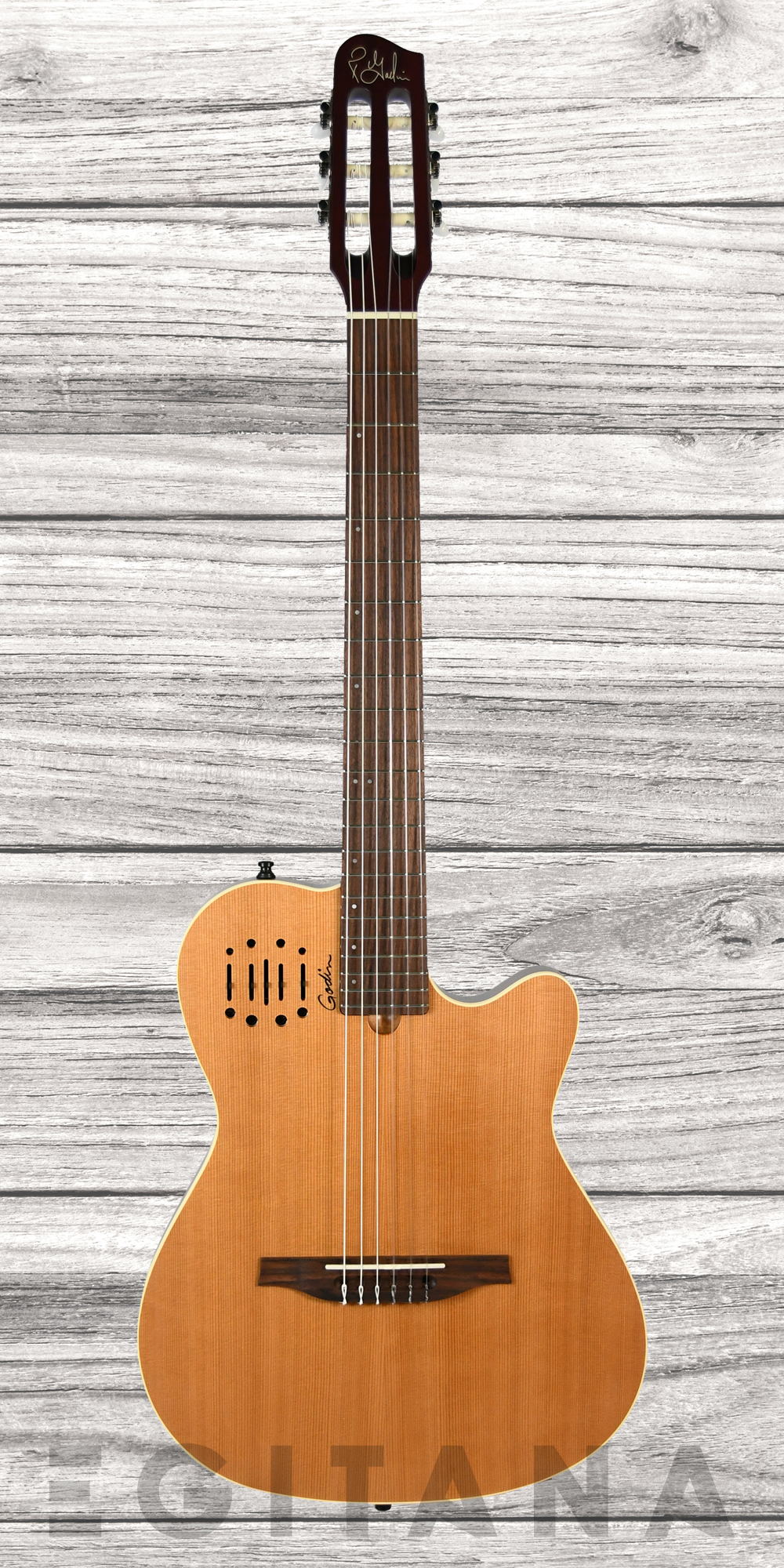 godin-multiac-encore_635a53b51023b.jpg