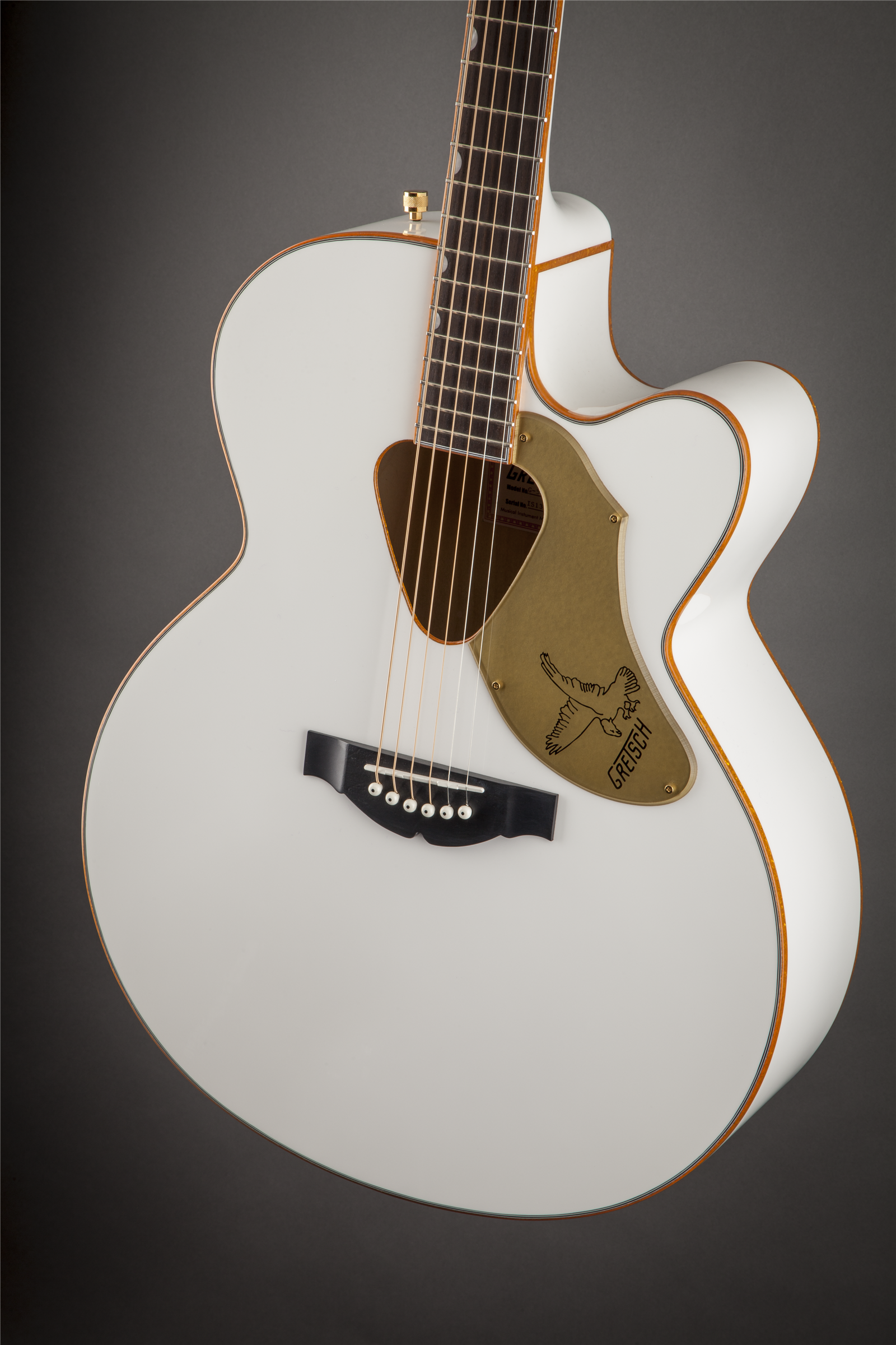 gretsch-g5022cwfe-falcon-rancher_6a199fa14ac22.png