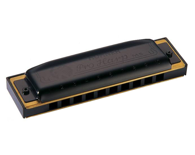 hohner-pro-harp-ms-562-20-g_56f28779f2af8.jpg