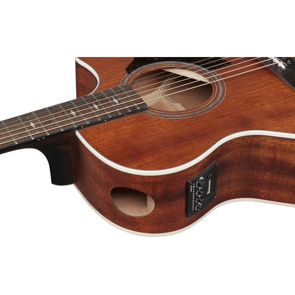 ibanez-ae140-opn_69e74539450e9.jpg
