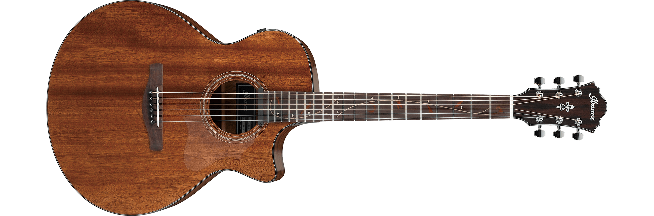 ibanez-ae295-lgs_5e4a6d43a8b74.png