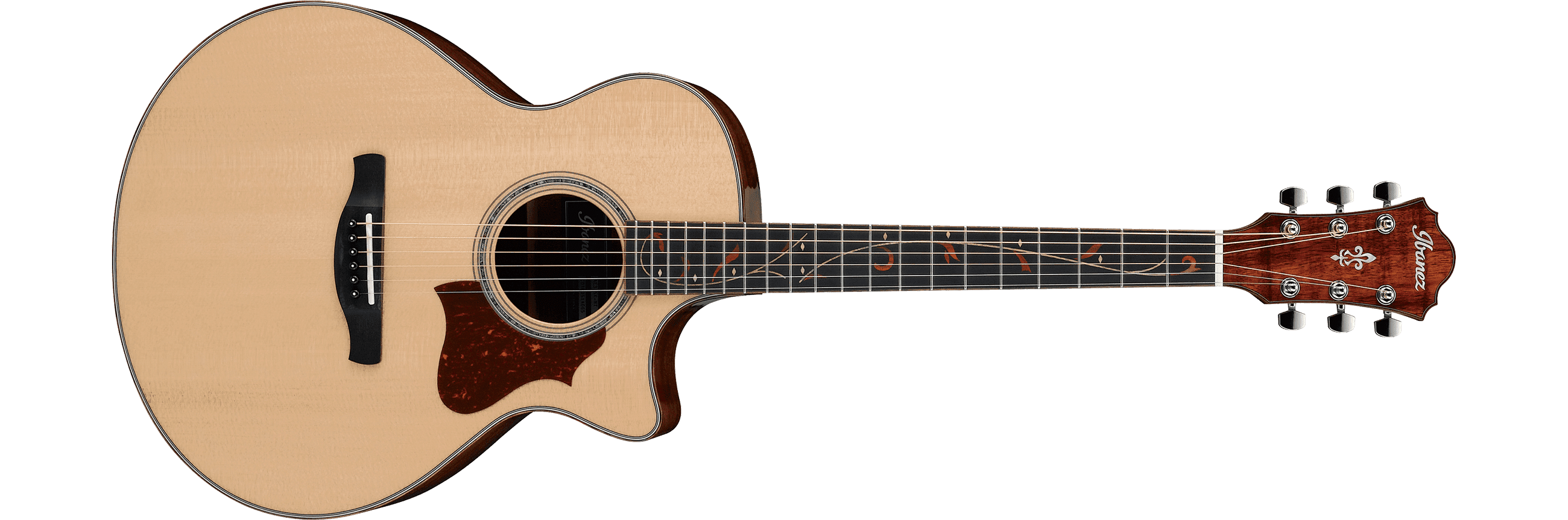 ibanez-ae315k-nt_5dc2adacec6f3.png