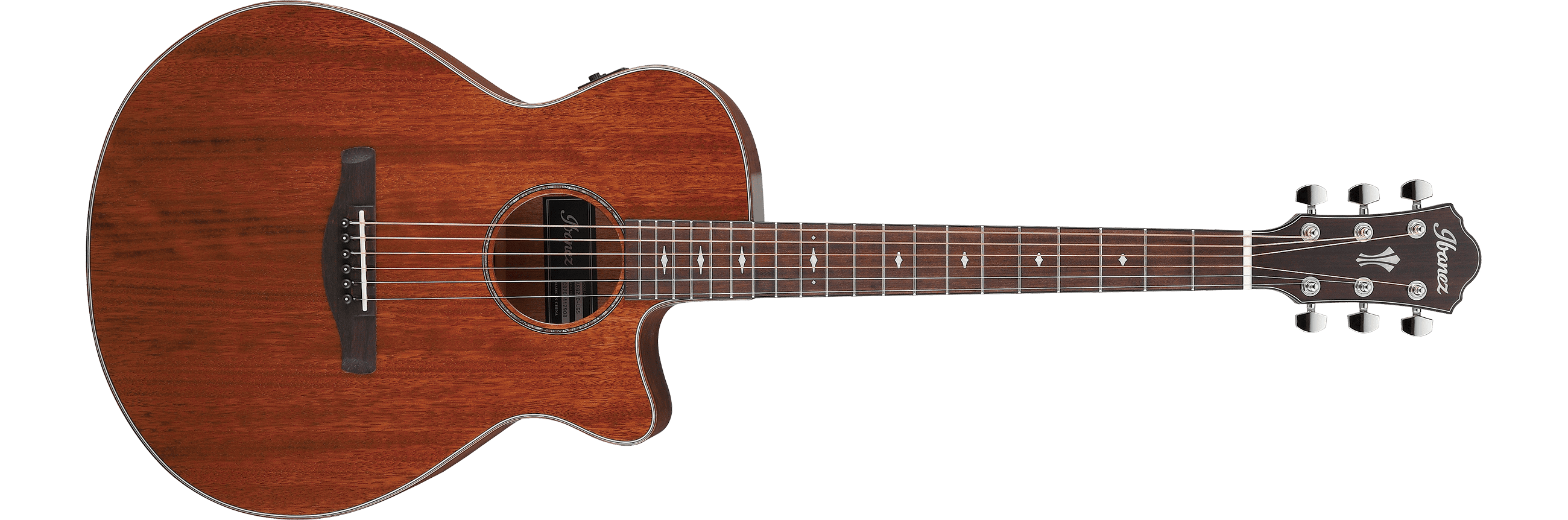 ibanez-aeg220-lgs_6405b0a999d69.png