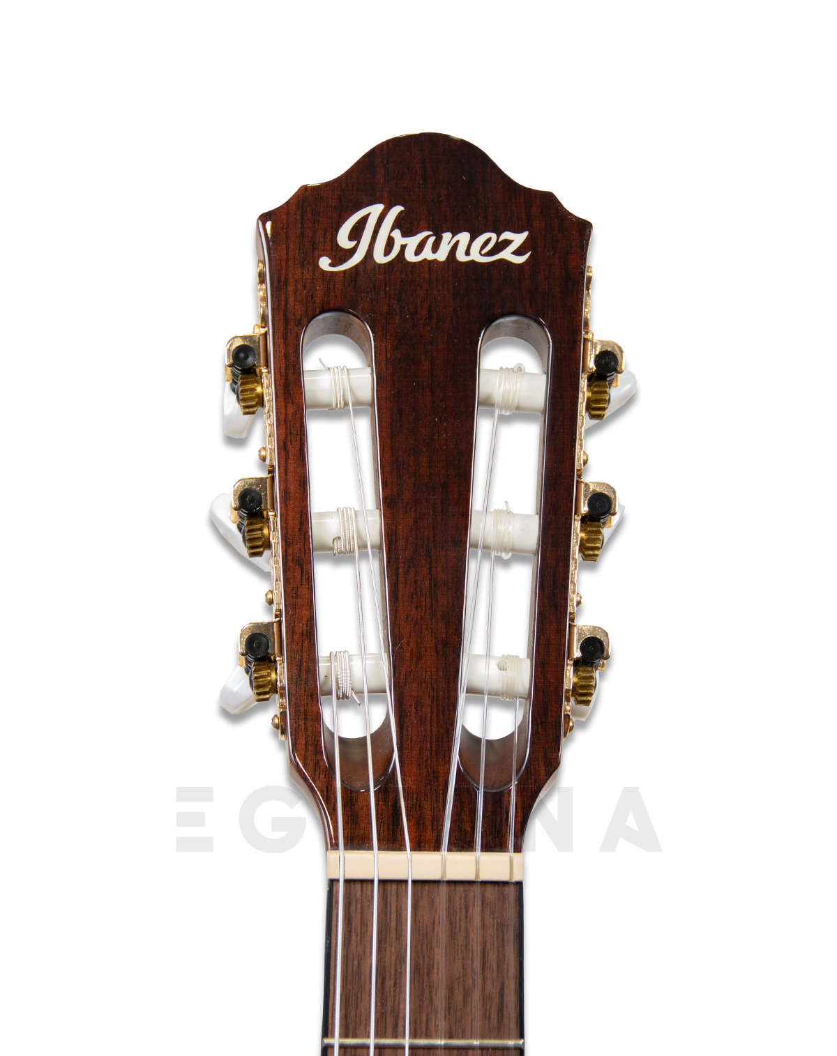 ibanez-aeg50n-nt-nylon_601035055610b.jpg