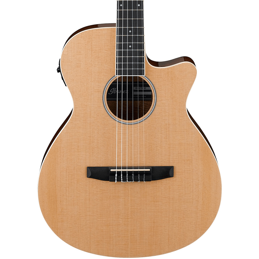 ibanez-aeg7tn-nt-nylon_62503f73246e8.jpg