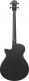 ibanez-aegb420-black-out_69e760d1396f9.jpg