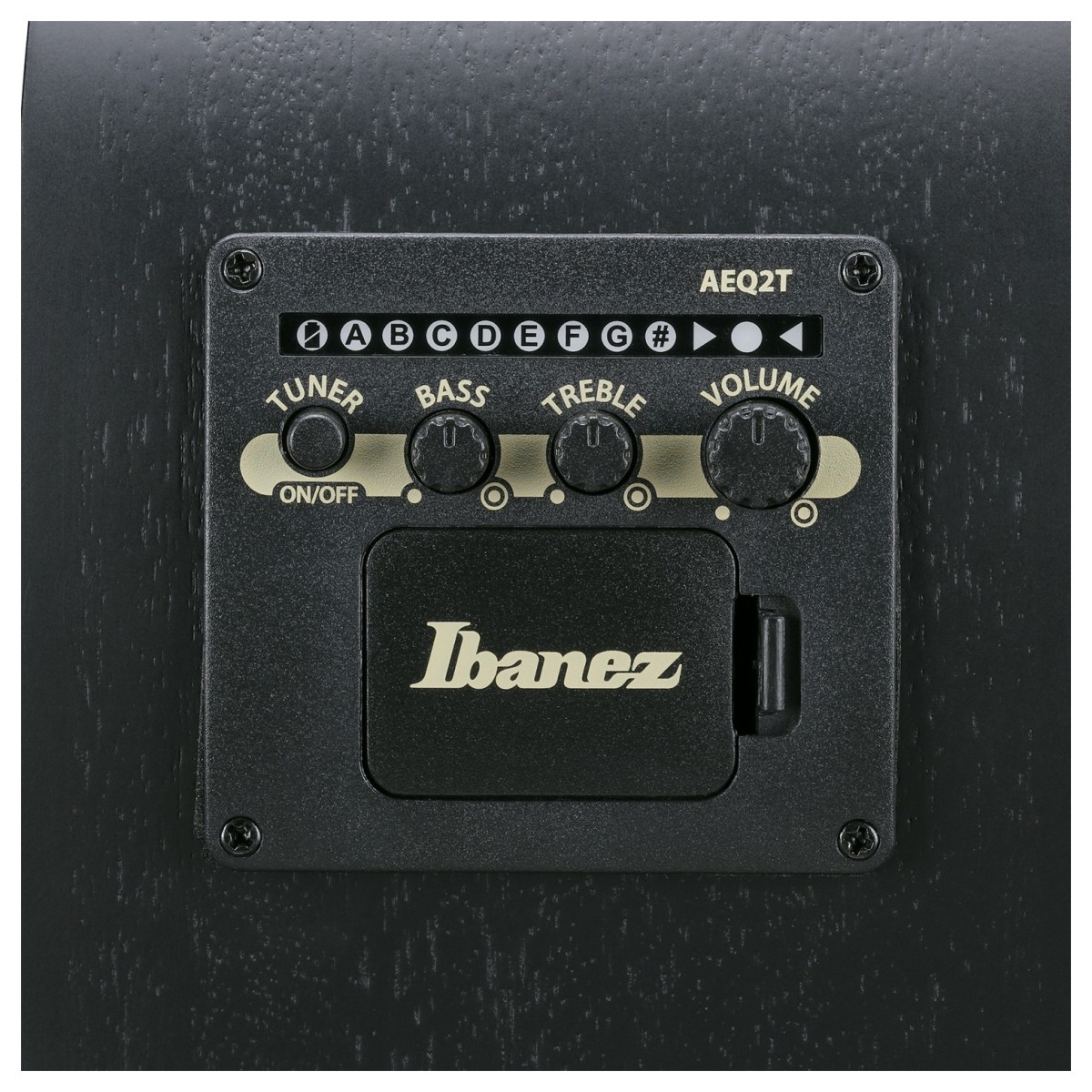 ibanez-aegb420-black-out_6a5a3301c0509.jpg