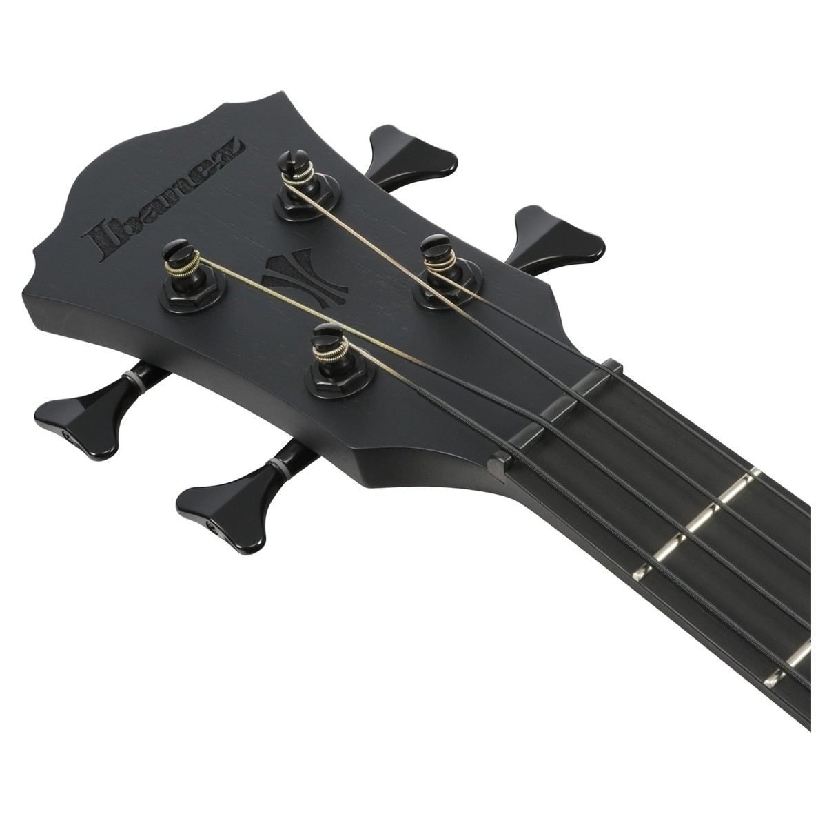 ibanez-aegb420-black-out_6a5a330578d1e.jpg