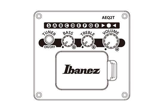 ibanez-aegb420-black-out_6a5a330c834dd.jpg