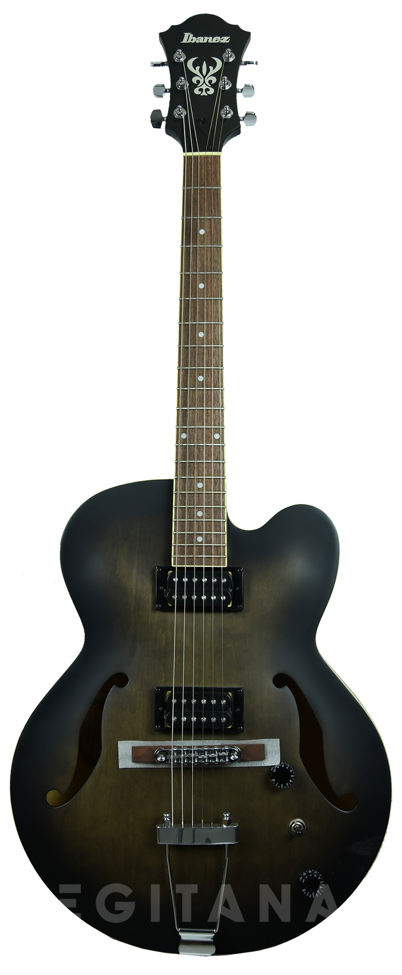 ibanez-af55-tkf_61235ee3d7e21.jpg