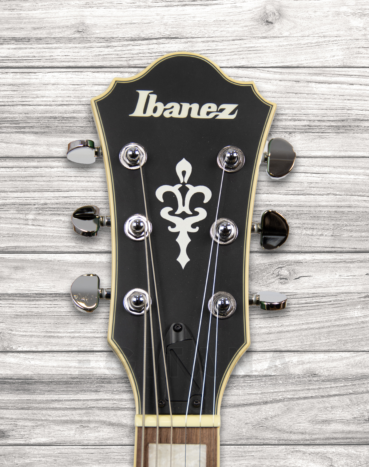 ibanez-afs75t-mgf_6093d26321230.jpg