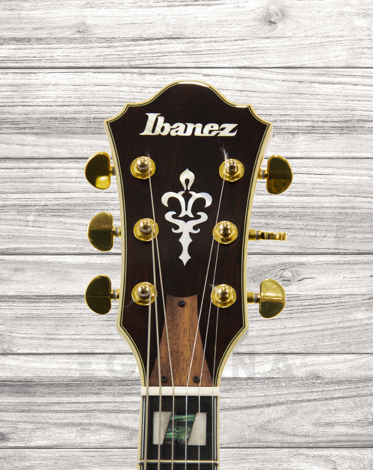 ibanez-as153-ays_5ff5d8ab0e1ae.jpg