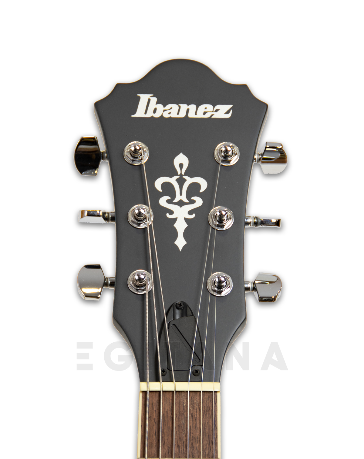 ibanez-as53-tbf_5ffc73019cbf6.jpg