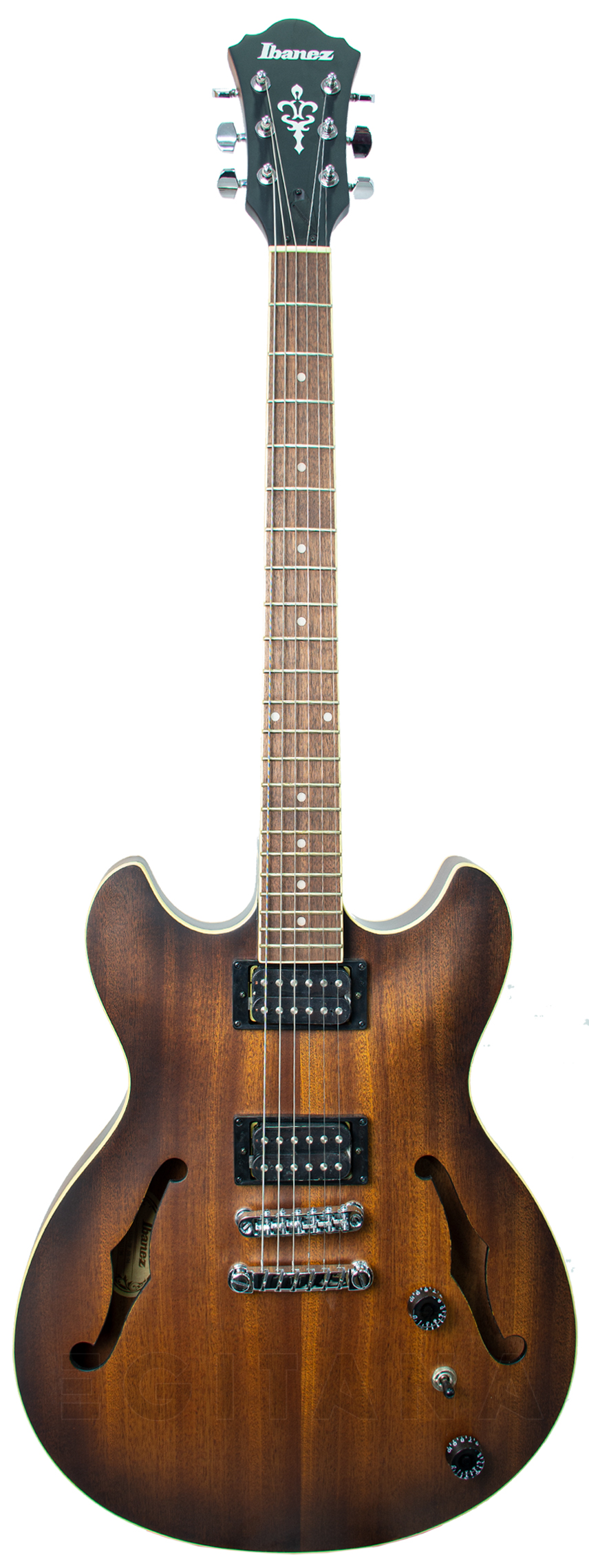 ibanez-as53-tf_63444c5ec7dd5.jpg