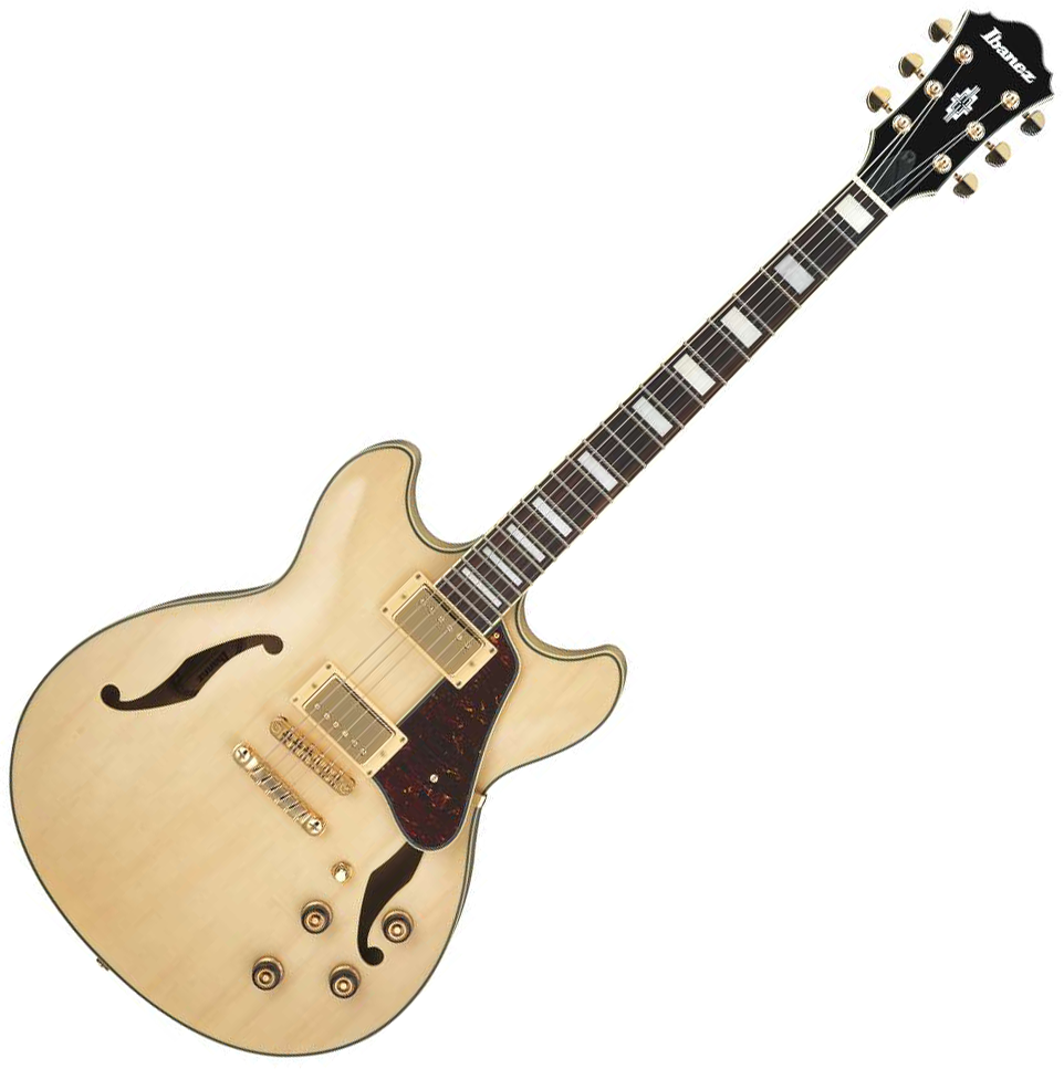 ibanez-as73g-nt_5dcd753dc477f.png