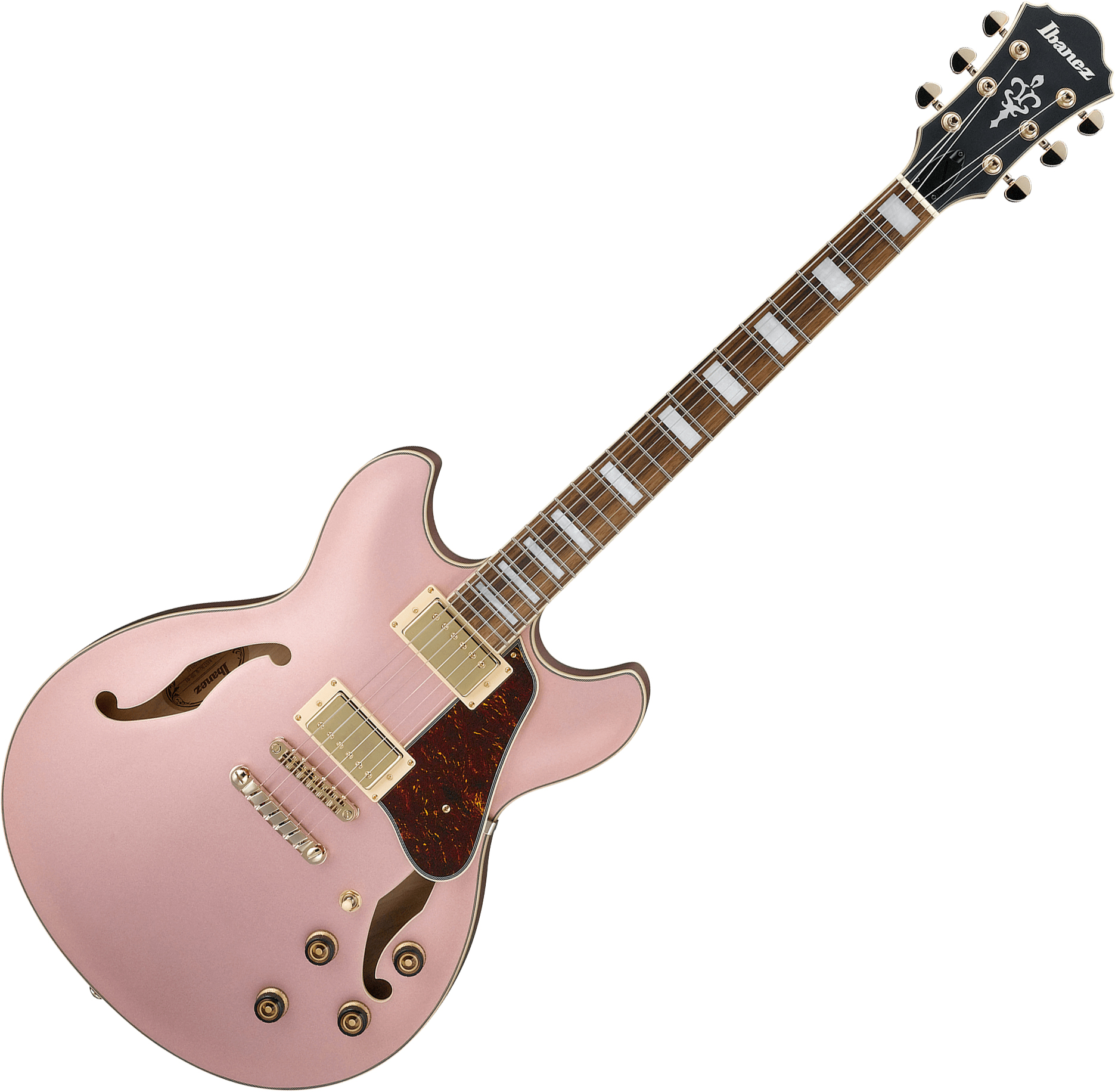 ibanez-as73g-rgf_604a28a9202e3.jpg