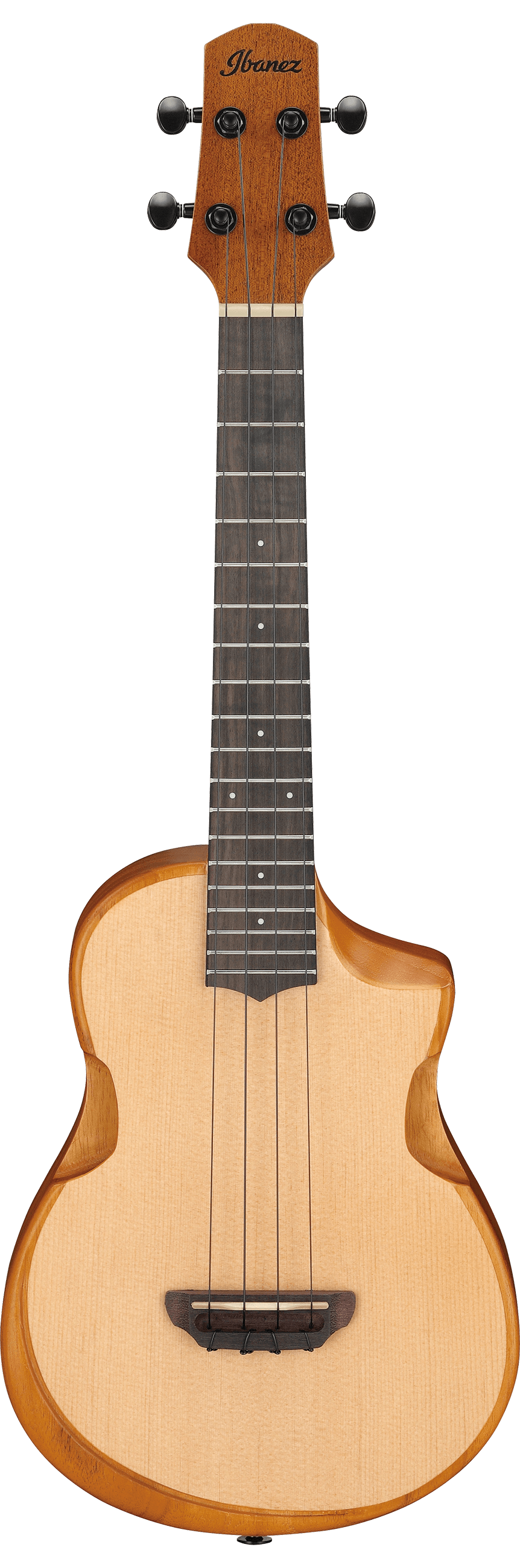 ibanez-aut10-opn_65ba12fd8fca9.png